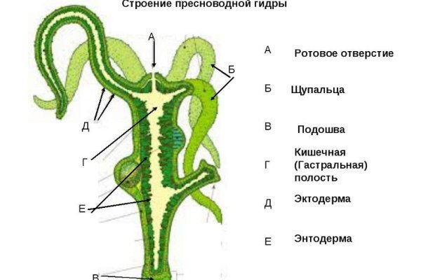 Активная ссылка на кракен