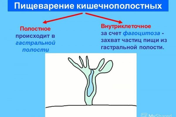 Кракен без регистрации сайт анонимных покупок