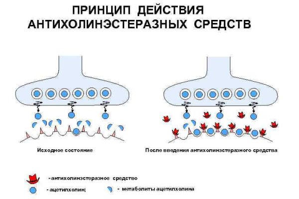 Кракен маркет только через тор