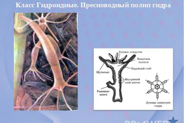 Кракен онион зеркала зеркало