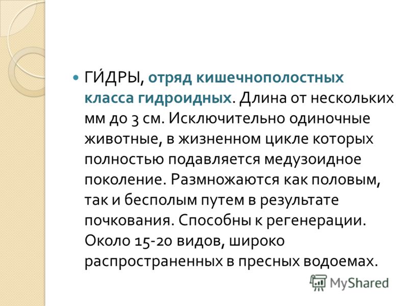 Зеркала мега даркнет